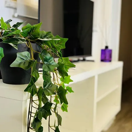 Trilocale In Vacanza!