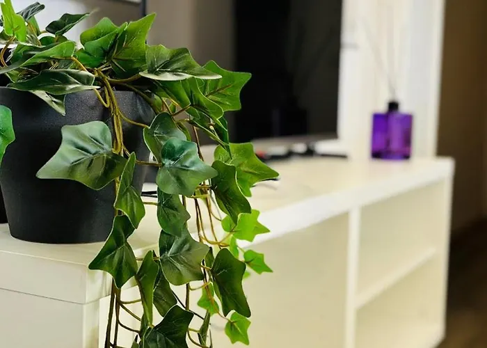 Trilocale In Vacanza!